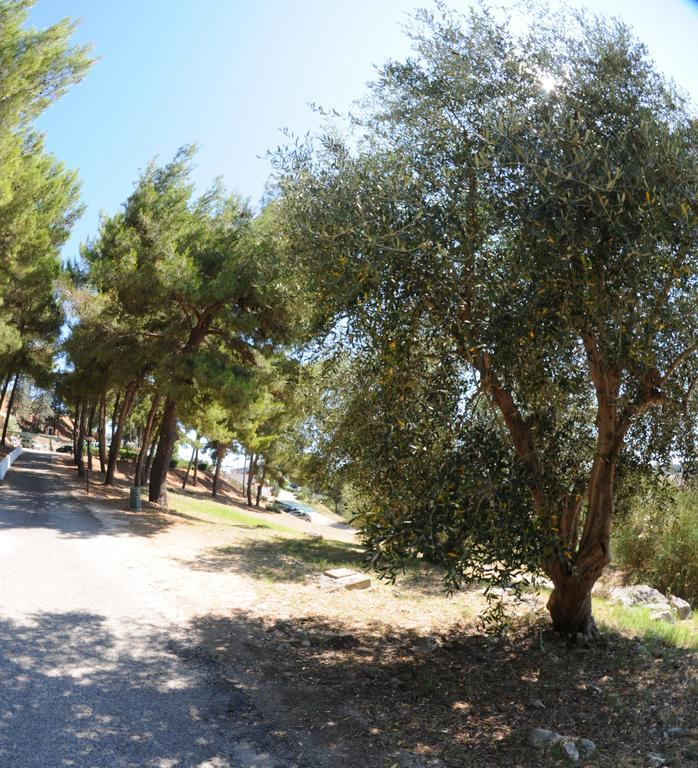 Villaggio Santo Stefano Vieste Eksteriør billede